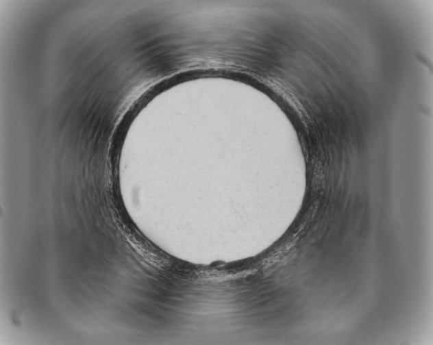 X0000094770927200712071130