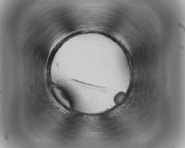 X0000094770928200712071130