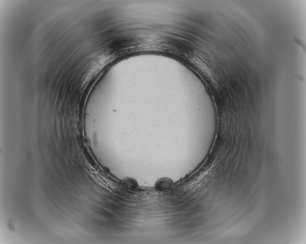 X0000094770930200712071130