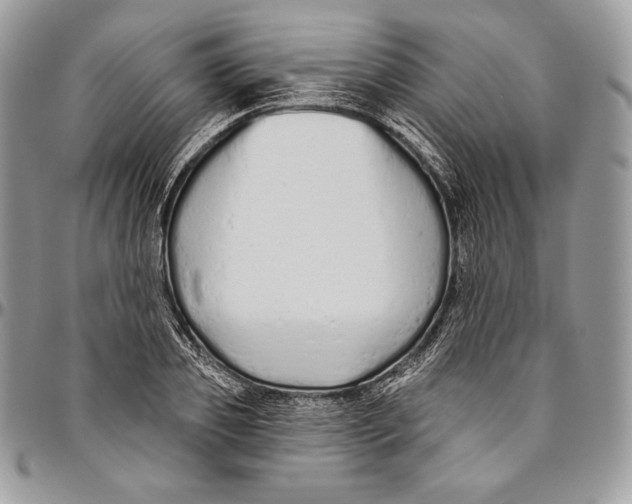 X0000094770933200712071130