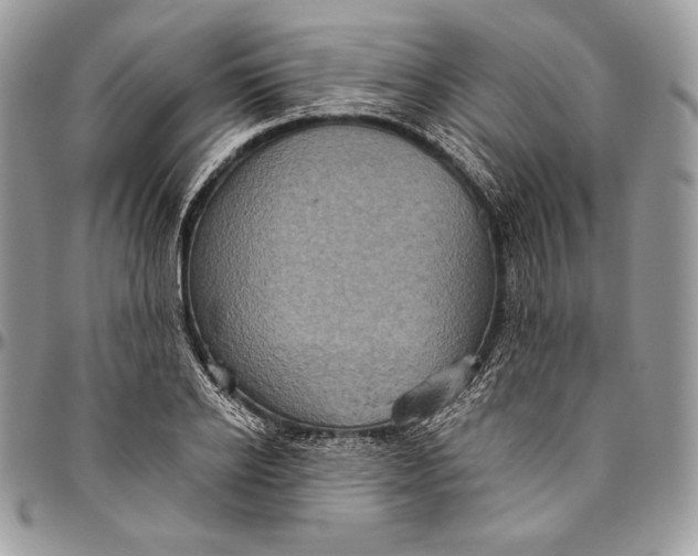 X0000094770934200712071130