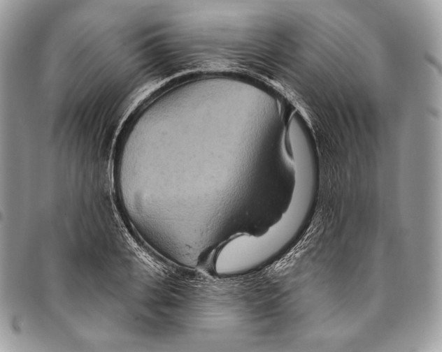 X0000094770935200712071130