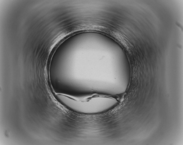 X0000094770936200712071130