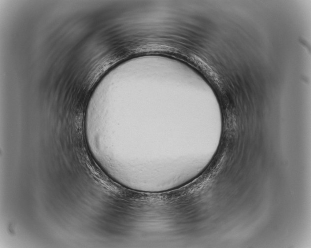 X0000094770937200712071130