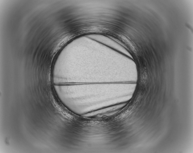 X0000094770938200712071130