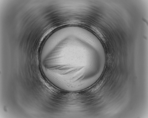 X0000094770939200712071130