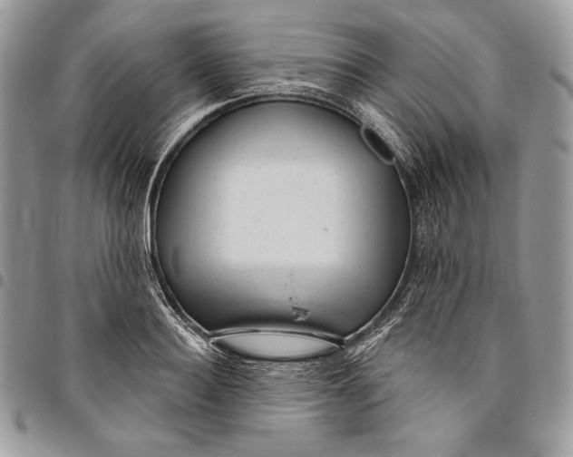 X0000094770940200712071130