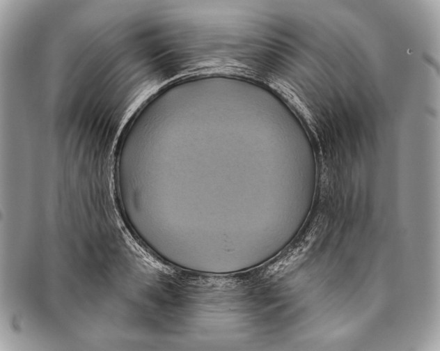 X0000094770941200712071130