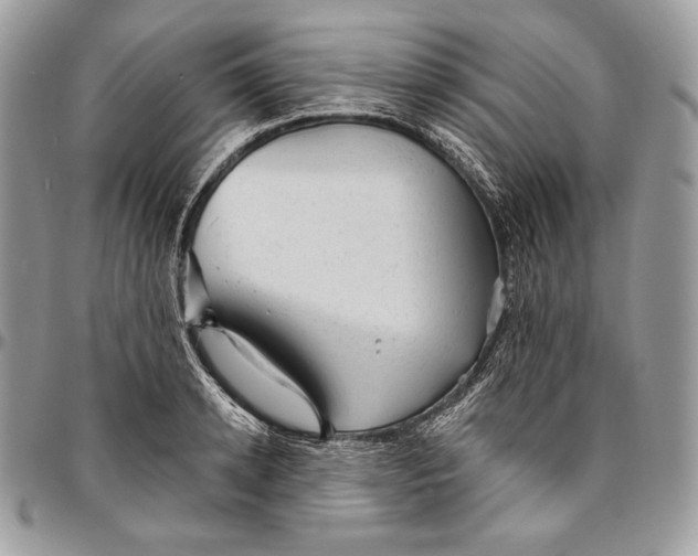 X0000094770942200712071130