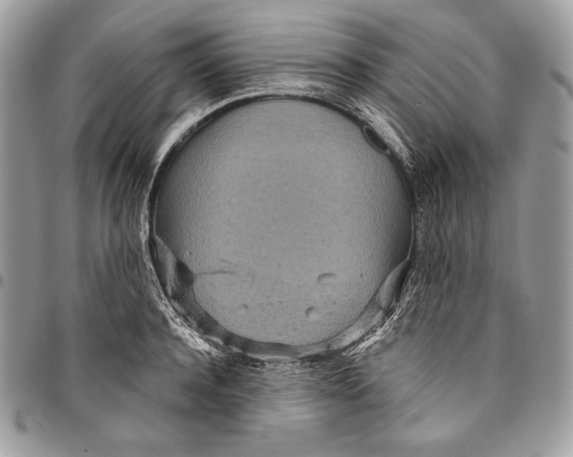 X0000094770944200712071130