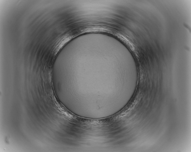 X0000094770945200712071130