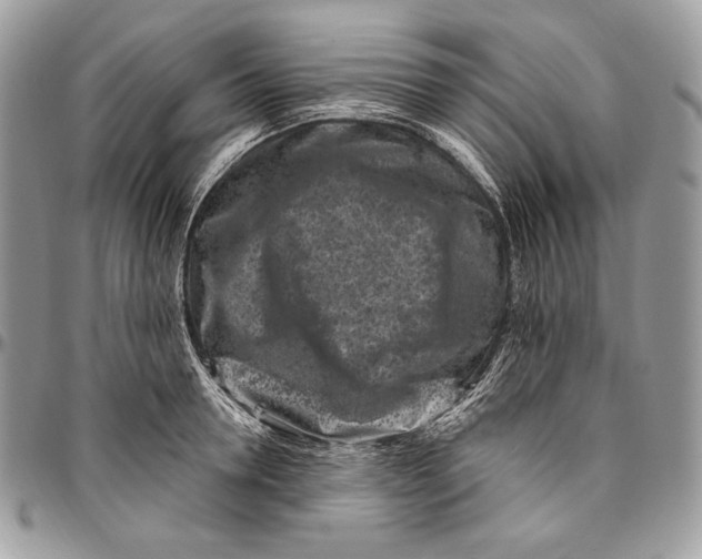 X0000094770946200712071130