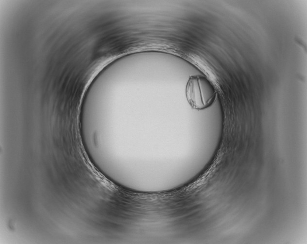 X0000094770948200712071130