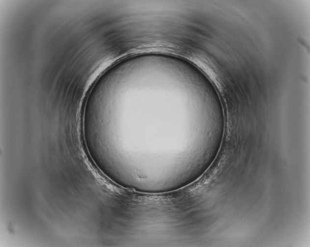 X0000094770949200712071130