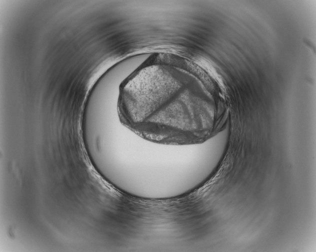 X0000094770952200712071130