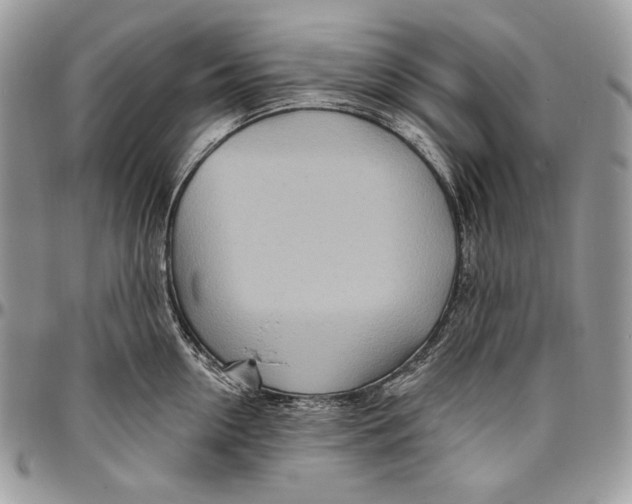 X0000094770954200712071130