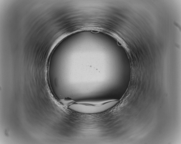 X0000094770955200712071130