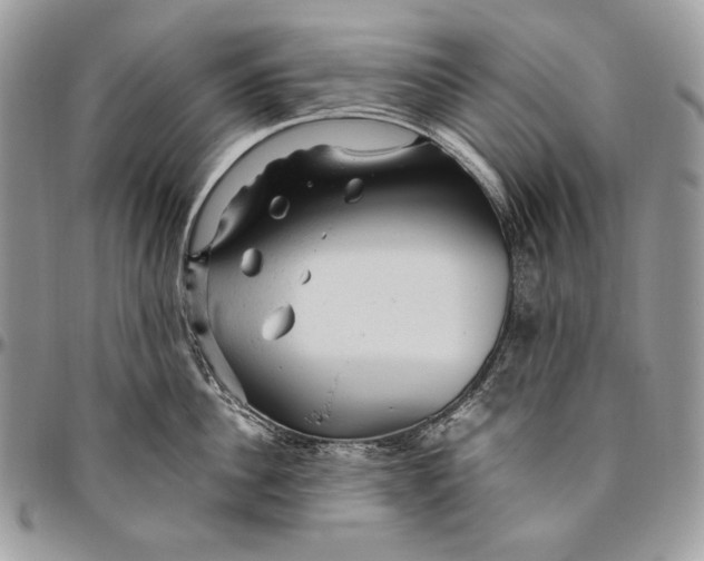 X0000094770956200712071130