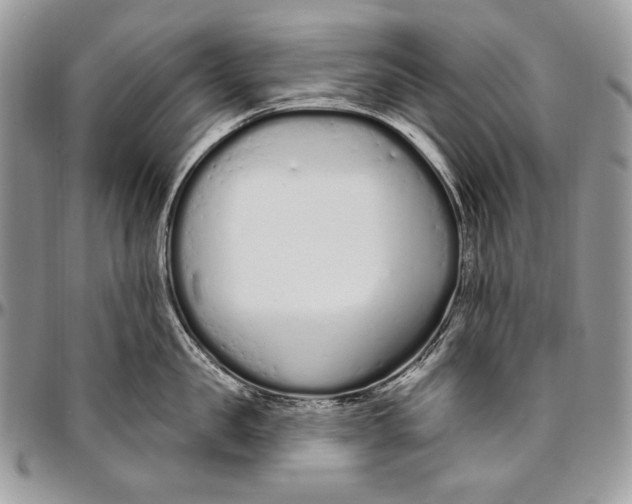 X0000094770957200712071130