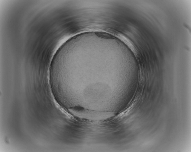 X0000094770958200712071130