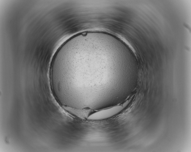 X0000094770959200712071130