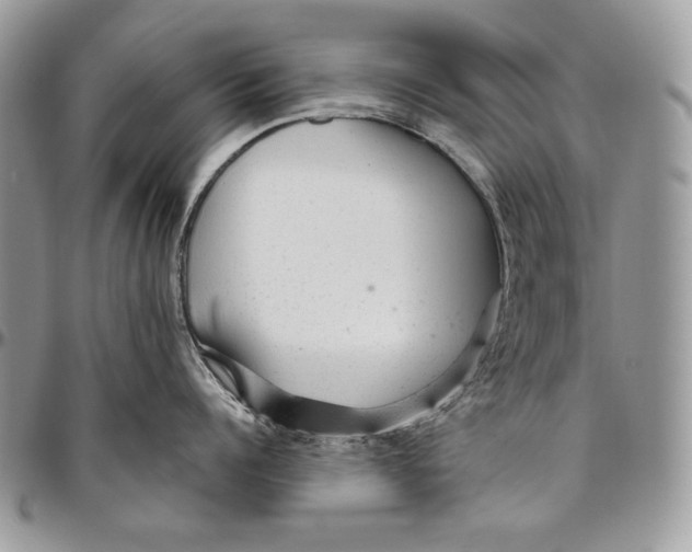 X0000094770960200712071130