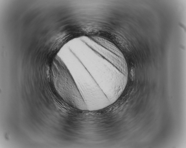 X0000094770963200712071130