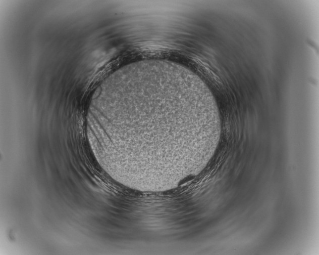 X0000094770964200712071130