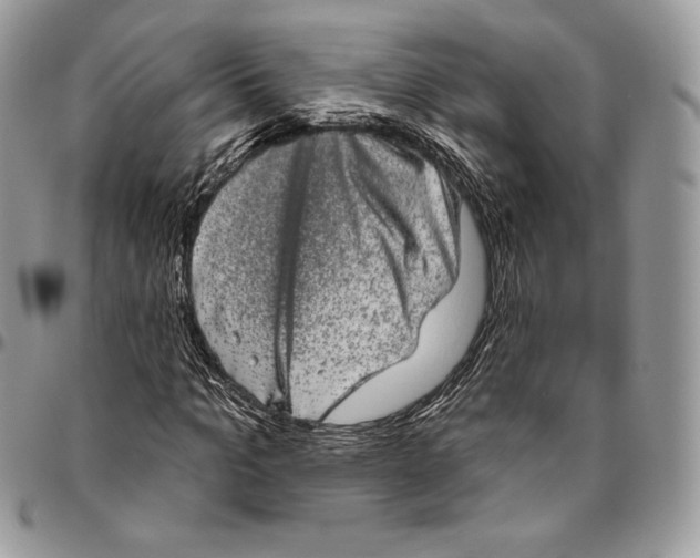 X0000094770965200712071130