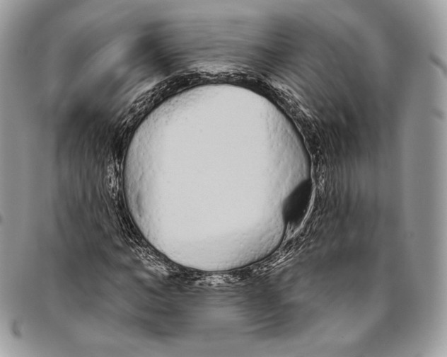 X0000094770966200712071130