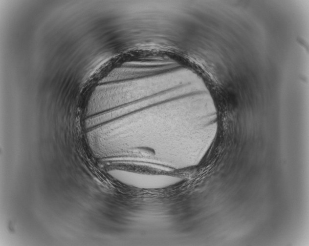 X0000094770968200712071129