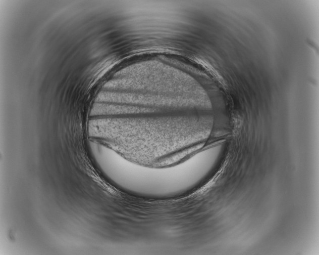 X0000094770969200712071129