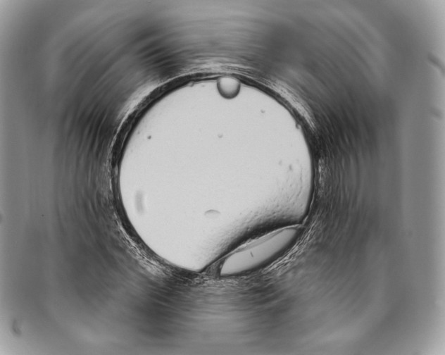 X0000094770972200712071129