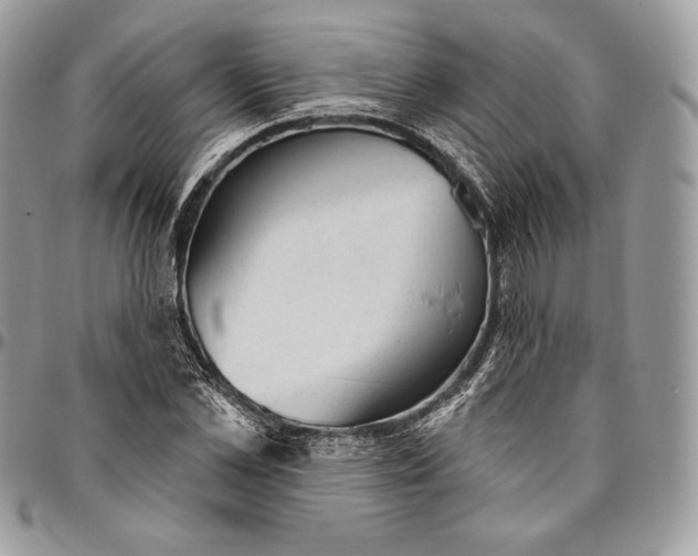 X0000094770973200712071129