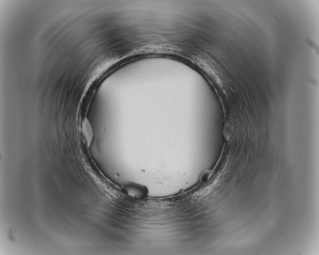 X0000094770981200712071129