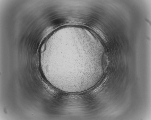 X0000094770982200712071129