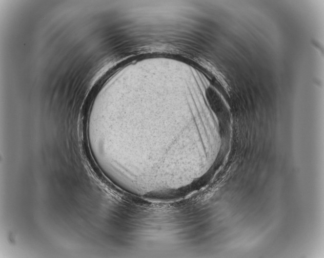 X0000094770983200712071129