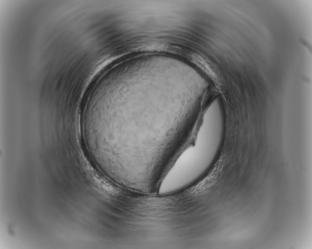 X0000094770984200712071129