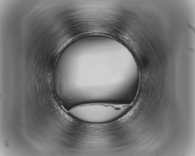 X0000094770985200712071129