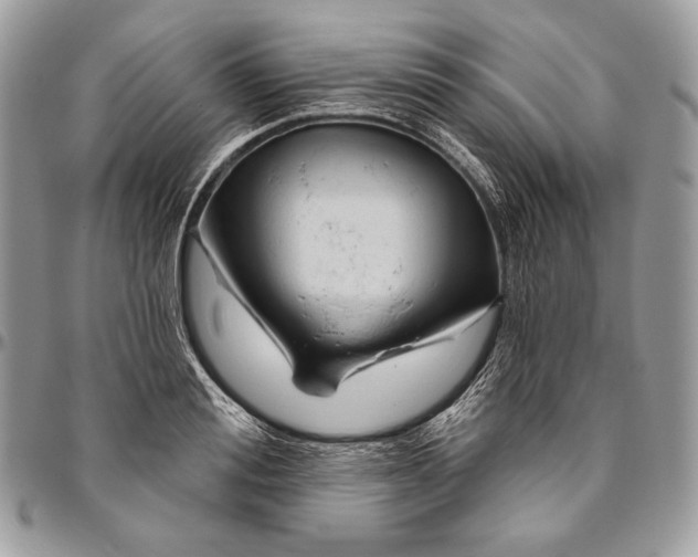 X0000094770988200712071129