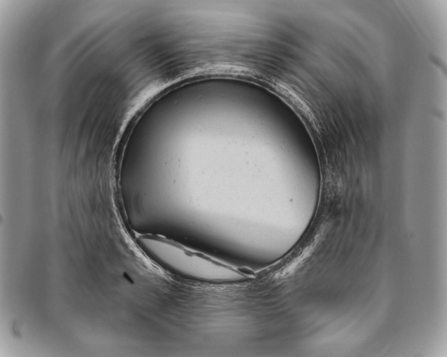 X0000094770989200712071129