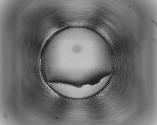 X0000094770992200712071129