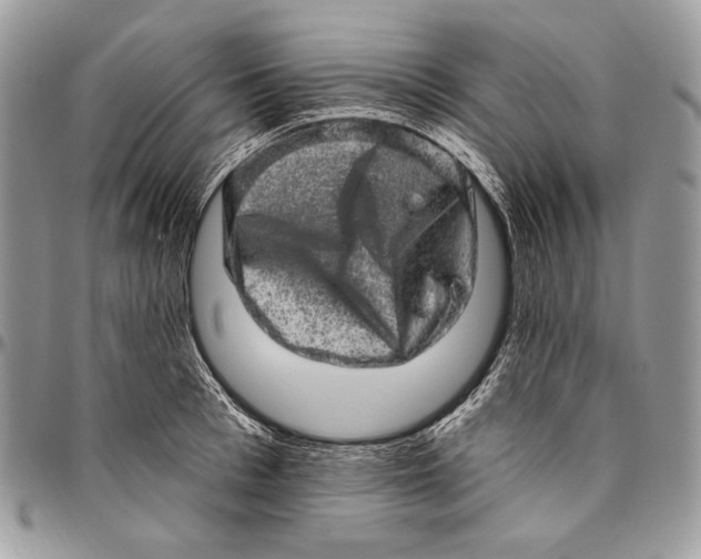 X0000094770993200712071129