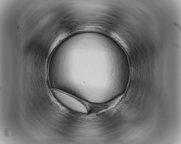 X0000094770994200712071129