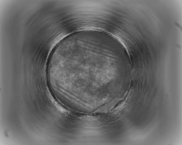 X0000094770995200712071129