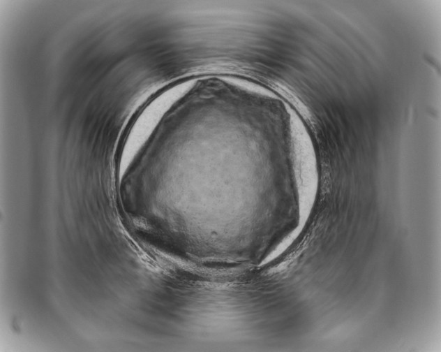 X0000094770996200712071129