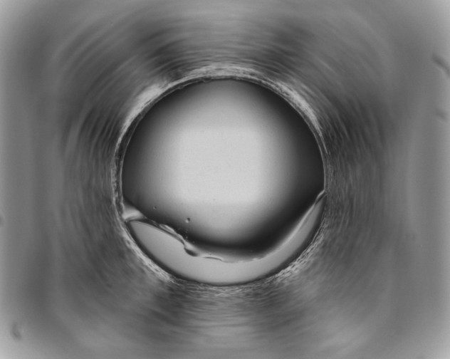 X0000094770997200712071129