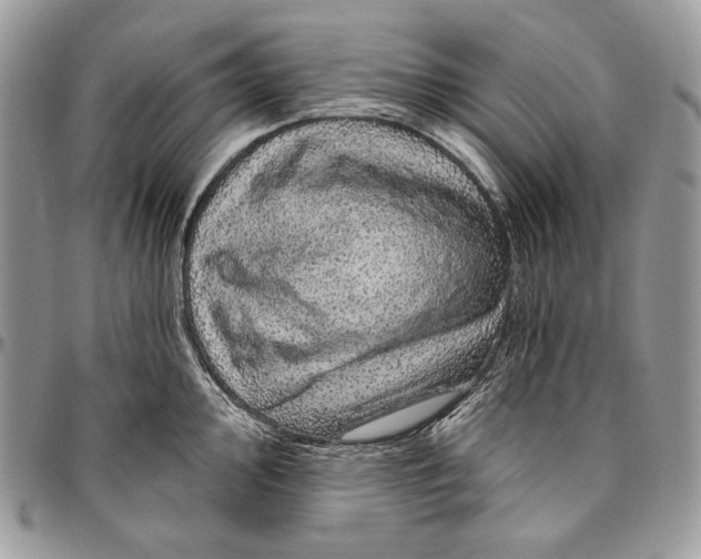 X0000094771000200712071129