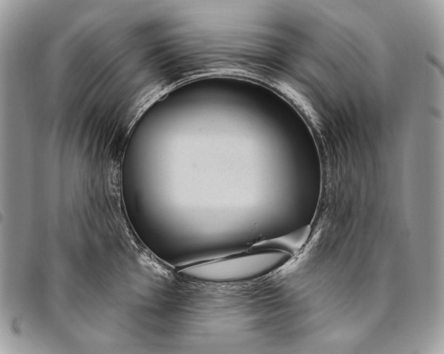 X0000094771001200712071129