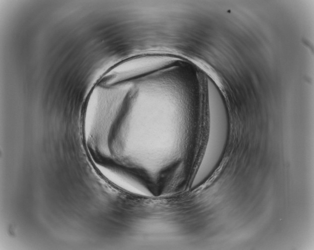 X0000094771006200712071129